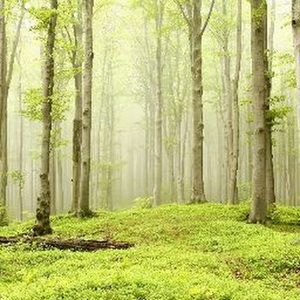 Meet your Posher, Georgia